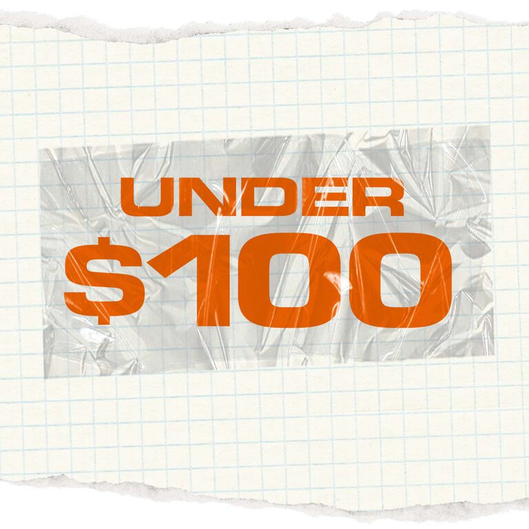 UNDER $100